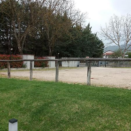 Il Boscaiolo Affittacamere Preturo Zewnętrze zdjęcie